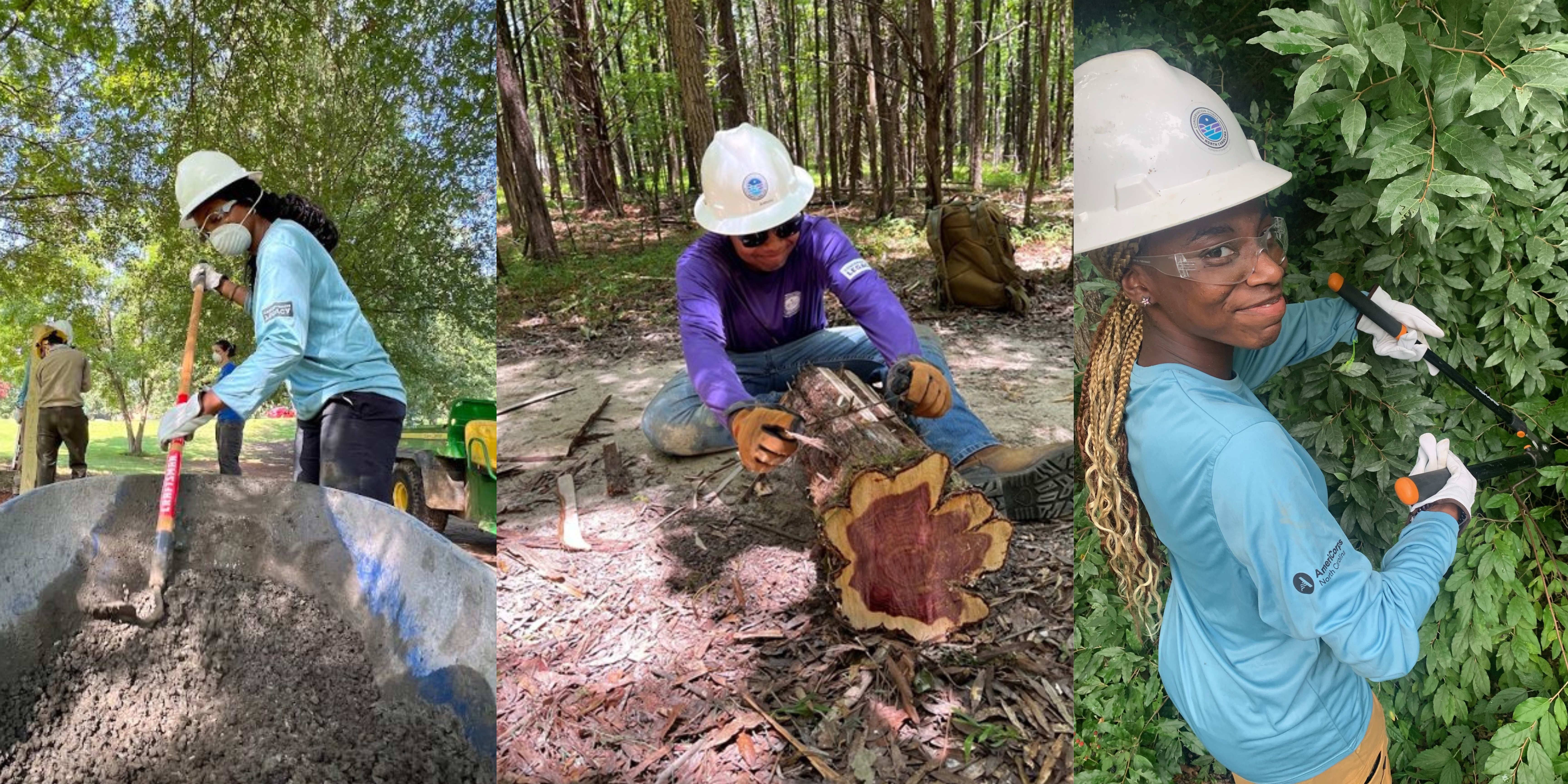 CCNC-Website-banner-1.png#asset:442